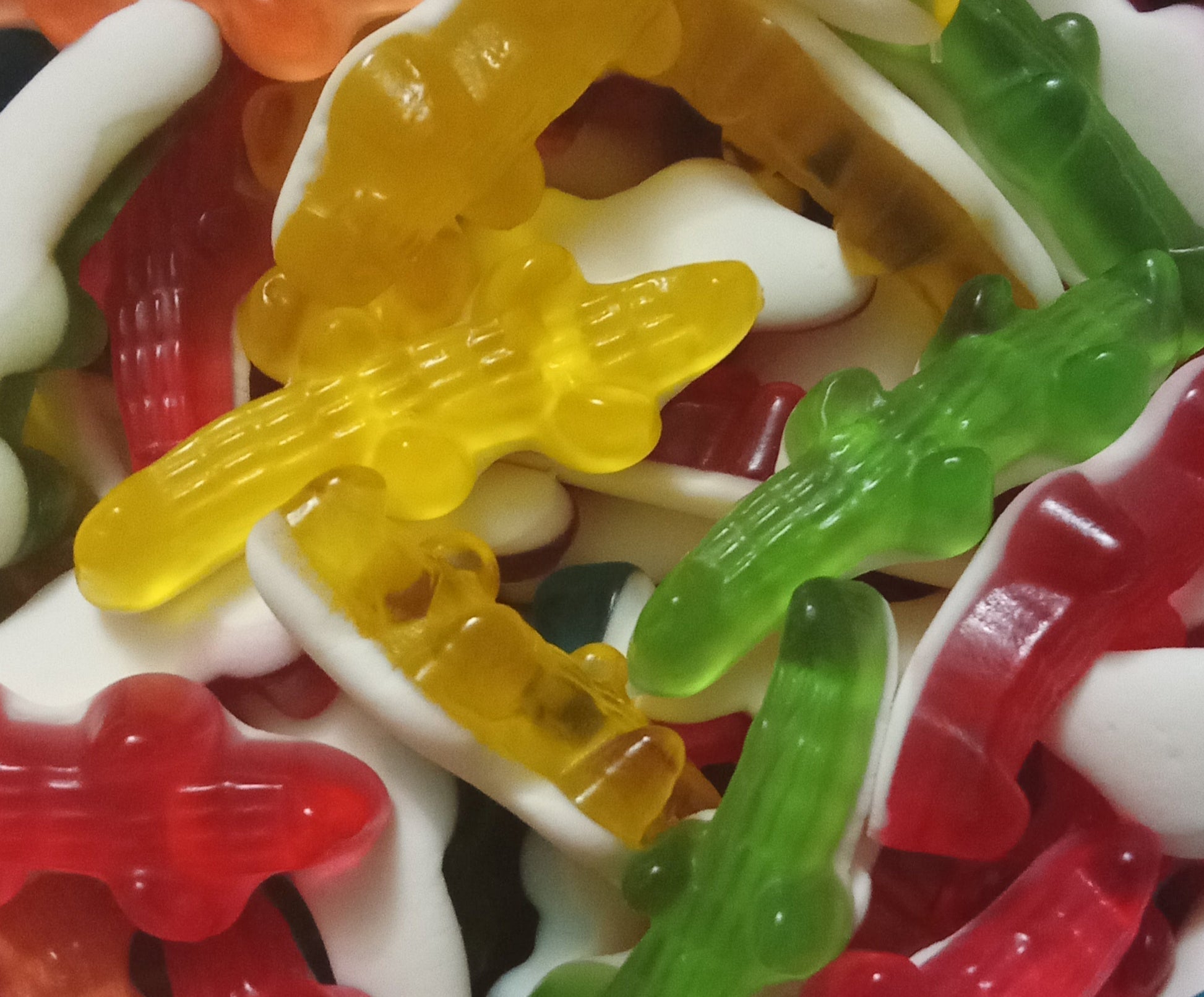 Bonbons crocodile 